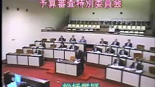 平成29年度予算審査特別委員会（審査１日目）