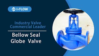 I-FLOW Globe Valve & All Valves EXPLAINED
