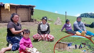 we went upwards to sanjip jina \u0026 somu manjita's places || pastoral life of Nepal || shepherd life