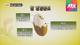 한국인의 필수 식량 쌀, 알고 먹자! 약이 되는 정보 꿀단지 33회