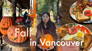 vlog. 제일 애정하는 밴쿠버의 가을🍁🤎, Pumpkin Festival, $2.95 브런치..?, 이케아 램프, 유학생의 서러움😖