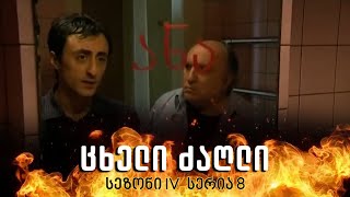 ცხელი ძაღლი | სეზონი 4 სერია 8