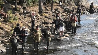 СТОЛЬКО РЫБЫ НЕ БЫЛО НИКОГДА / THERE HAVE NEVER BEEN SO MANY FISH BEFORE