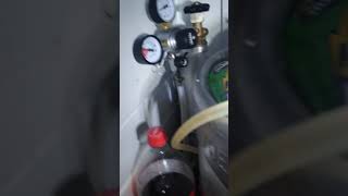 Insignia kegerator review.