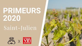 Vins de Bordeaux - Primeurs 2020 - Saint-Julien