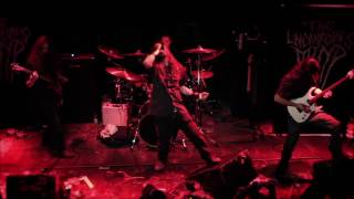 The Unconscious Mind - My Deadly Sin (OFFICIAL MUSIC LIVE VIDEO)