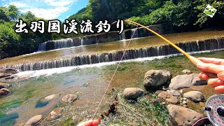 【猛暑日は危険‼】赤川漁協管内を訪問！山形渓流釣り