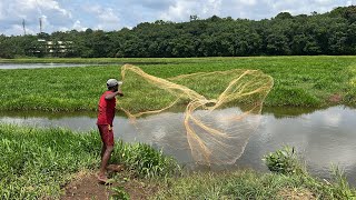 കൊമ്പനെ പിടിക്കാൻ ഇറങ്ങിയപ്പോൾ കിട്ടിയത് | kerala village cast net fishing techniques |river monster