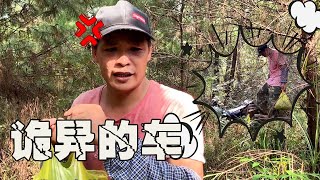 小何上山摘野果，无意发现多台被丢弃的电动车，这是啥情况？【桥头小何】