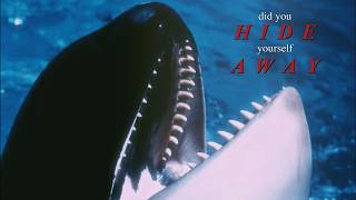 did you 𝐇𝐈𝐃𝐄 yourself 𝑨𝑾𝑨𝒀