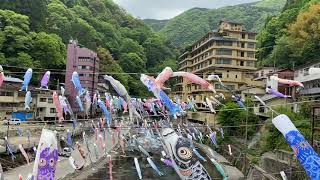 Tsuetate Onsen Japan Koinobori