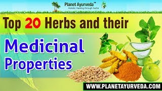 Top 20 Herbs \u0026 their Medicinal Properties - Health Benefits