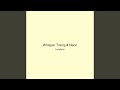 Whisper Tranquil Neon