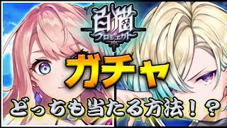 【白猫】知ってた！？この方法まじでやばいwwwいつもガチャ運の悪い俺が限定2体をわずかなジュエルで当てる方法教えますwみんなも検証してみて…【Lost Weather Cord　晴れと雨のキズナ】