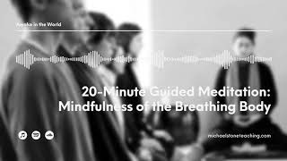 20-Minute Guided Meditation: Mindfulness of the Breathing Body // Awake in the World Podcast