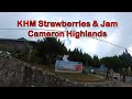 KHM Strawberries & Jam, Tanah Rata, Cameron Highlands, Pahang