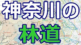 神奈川の林道はどこなのか　　forest road in Kanagawa Japan