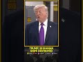 US-Iran War: Trump Says US Forces Have Knocked Out 28 Iranian Mine-Laying Ships | WION