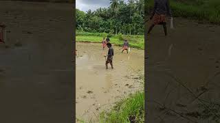 പാടത്ത് ഇത്രയും മീനുകളോ village fishing #fishing