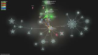 ManimCommunity/manim - Gource visualisation