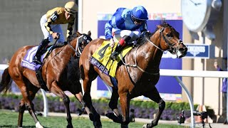 MAGNUM FORCE powers to Breeders' Cup Juvenile Turf Sprint glory