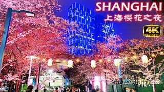 4K Shanghai Cherry Blossom Night Walk Tour 2021上海樱花季之魅力夜行记|浦东陆家嘴金融城\u0026虹口足球场\u0026鲁迅公园\u0026徐汇西岸滨江夜景