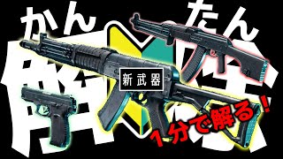 【BF2042】初心者さんのための新武器解除方法（いつものアレ）【バトルフィールド】