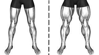 How To Get A Massive Legs At Home