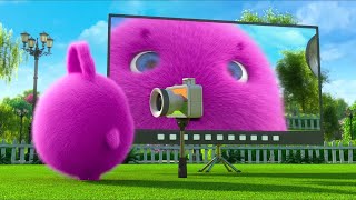 Sunny Bunnies | Boo Found A Camera | SUNNY BUNNIES COMPILATION | Cartoons for Children
