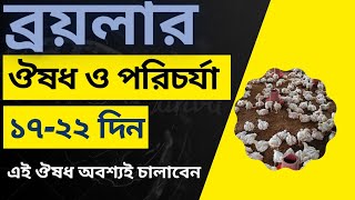 ব্রয়লার মুরগির ১৭ থেকে ২২ দিন পর্যন্ত ঔষধ তালিকা। ব্রয়লার ও সোনালি মুরগির ১৭ থেকে ২২ দিনের পরিচর্যা।