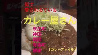 カレーライス　ジャンカレー　インデラ　両国南海　マーブル　ニューキャッスル 街で愛されているカレー屋さん