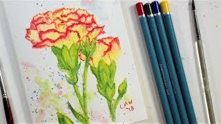 Carnation Flower Real Time Beginner Watercolor Pencil Tutorial (Only 4 colors!)