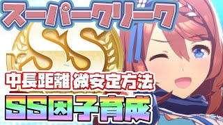 【ウマ娘】スーパークリーク、SS因子周回育成法！中長距離ウマ娘はこのローテと育成方法で！【因子厳選/因子周回/新シナリオ/メイクラ】