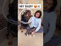 Rottweiler protecting baby from owner #dog #rottweiler #husky #trendingsongs #shorts #viral