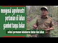 MENGENAL AGROFORESTRI, PERTANIAN LAHAN GAMBUT TANPA BAKAR