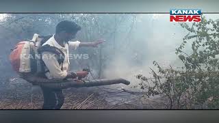 Forest Fire In A Jungle Of Athagarh