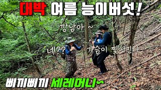 여름 능이버섯 대박 세레머니! 버섯 헌터들의 치열한 고군분투! 먹고살기 참 힘들다.. 지금 산에는 버섯 풍년~ 심마니 약초꾼의 리얼 야생 진짜 방송! Guest. 독도사랑, 종근당