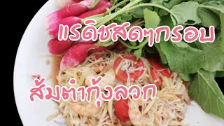 ส้มตำกุ้ง แรดิชสดๆกรอบๆ​ พริก4เม็ดเผ็ดน้ำตาเล็ด