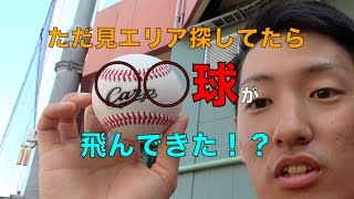 早く着いたのでただ見エリア探してみた！？