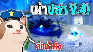 เผ่าปลา V.4 เปิดร่างอมตะตีไม่เข้าโคตรโกง! พร้อมล่าค่าหัว!?!  (Blox Fruits)