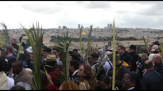 Palm Sunday, Jerusalem 2024