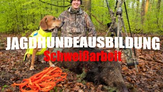 Jagdhundeausbildung #1 SCHWEIßARBEIT