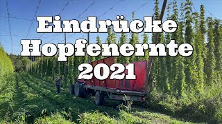 Eindrücke Hopfenernte 2021