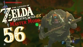 THE LEGEND OF ZELDA BREATH OF THE WILD 4K #56🌳 | 100%