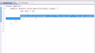 Java Programming Tutorial - 20 - Conditional Operators.flv
