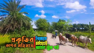 অপরূপ সৌন্দর্য | গ্রাম বাংলার রূপ ও প্রাকৃতিক সৌন্দর্য | Natural Beauty of the Village