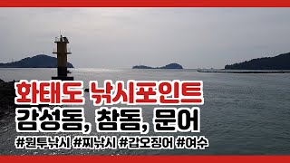 여수 화태도 낚시 포인트~! 감성돔, 참돔, 문어, 갑오징어! 원투낚시, 찌낚시, 루어 가능!