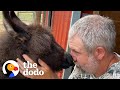 Baby Donkey Loves To Kick Her Dad When She Wants Attention | The Dodo Little But Fierce