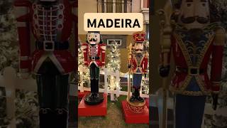 🎄 Christmas Magic in Ponta do Sol, Madeira | Where Night Meets Holiday Spirit