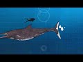 공룡 ancient marine repiles size comparison 50 sea dinosaurs size comparison mosasaurus 49